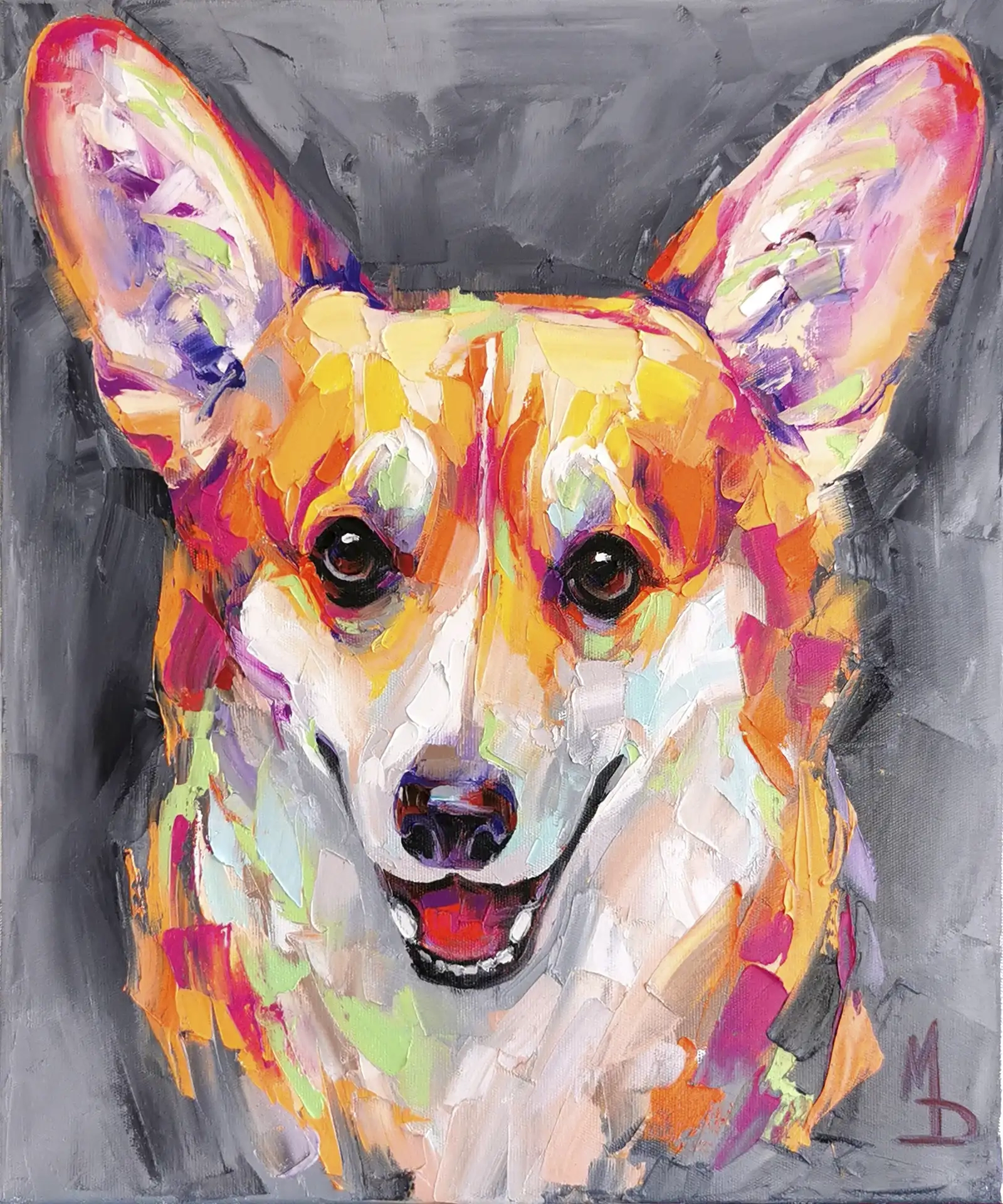Corgi on gray